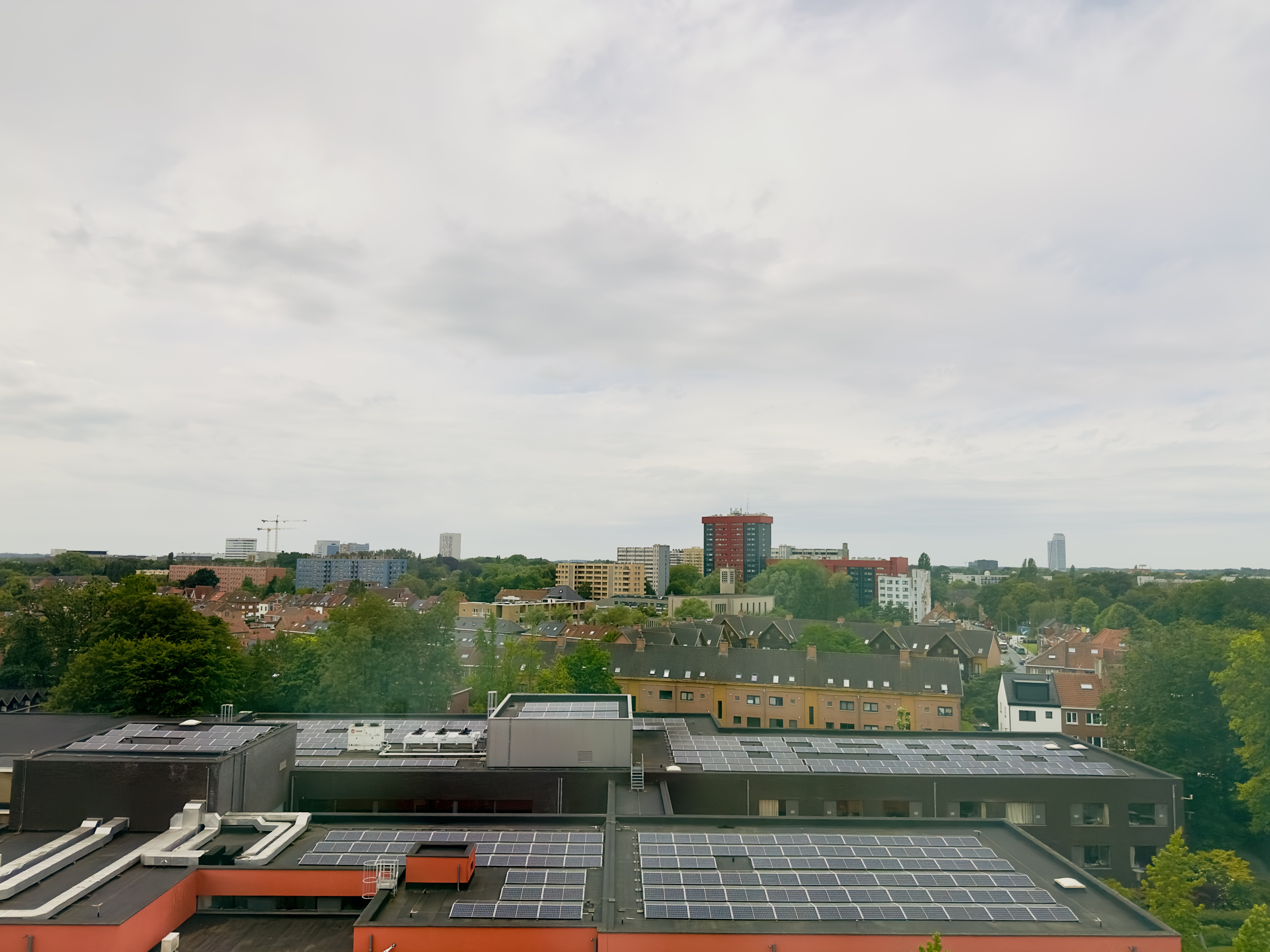 Suburban skyline in front of a grey, cloudy sky. 